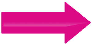 fleche rose